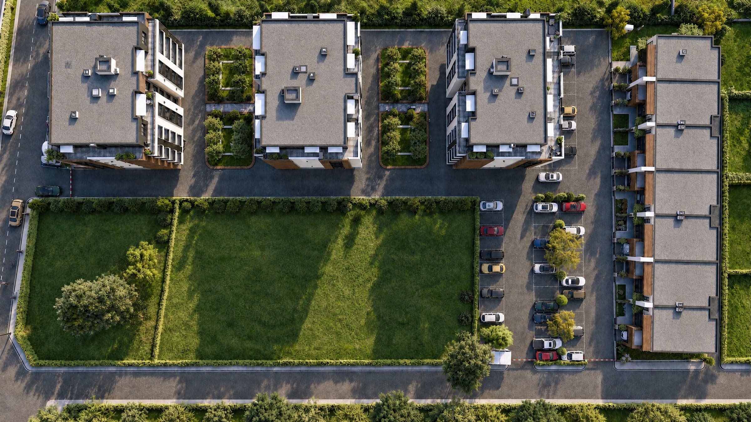 Terra Verde - 8